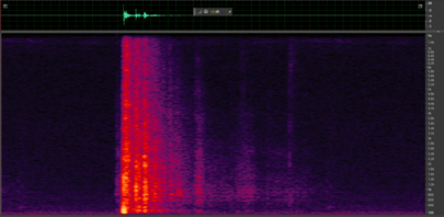Figure showing Spectrograms of gunfire